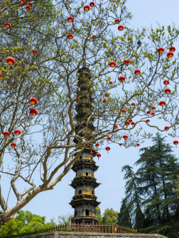 玉泉景区