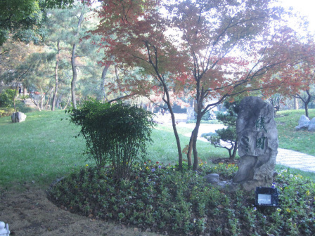复旦大学