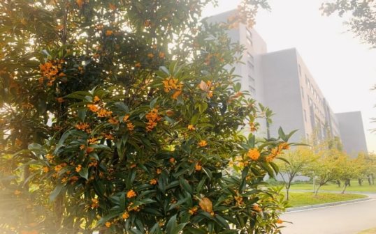 河海大学