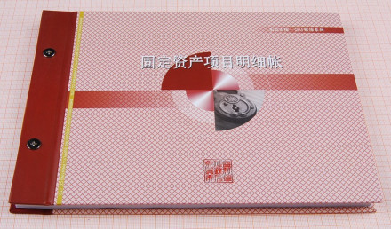 固定资产项目明细账(图1)