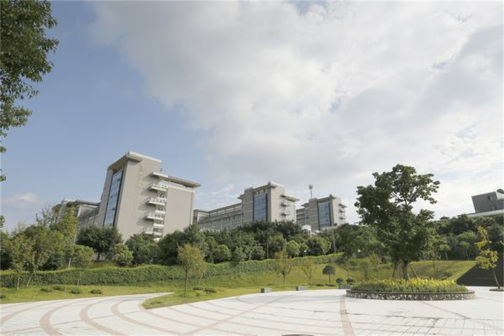 中心小花园