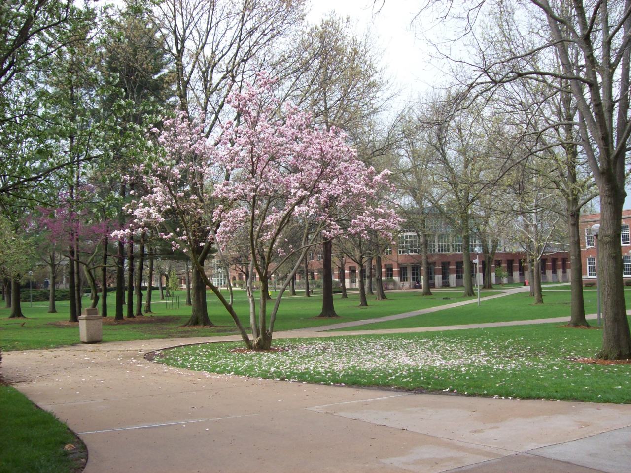 中央密苏里大学