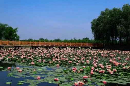 菏泽市风光
