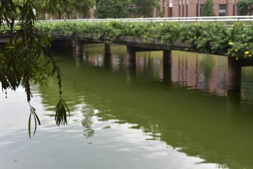 中山大学（东校区）