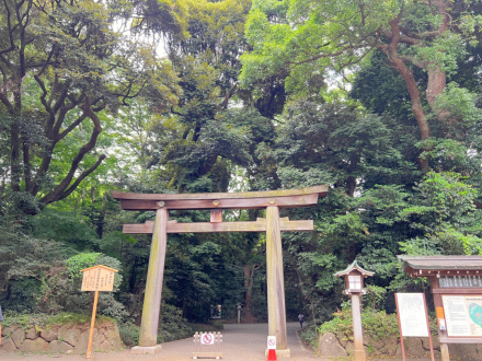 明治神宫