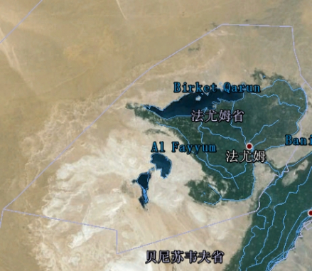 卫星影像