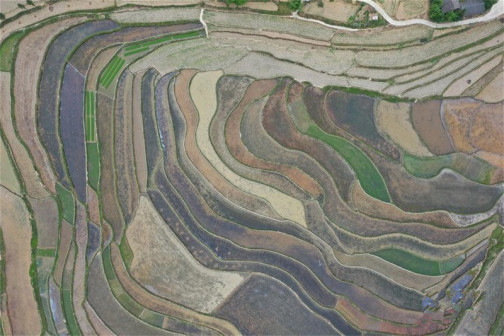 洪湖梯田美景