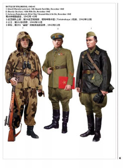 斯大林格勒战役,1942年-43年
