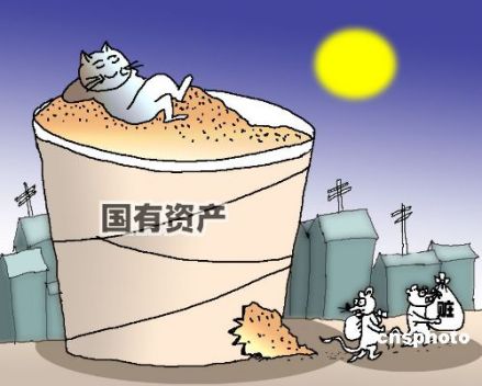 国有资产