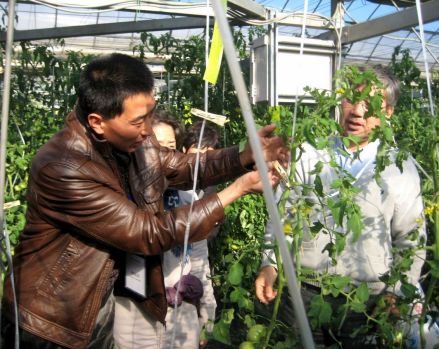 富平生态信任农业项目赴日交流考察