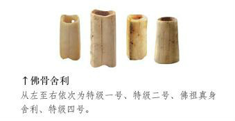 舍利
