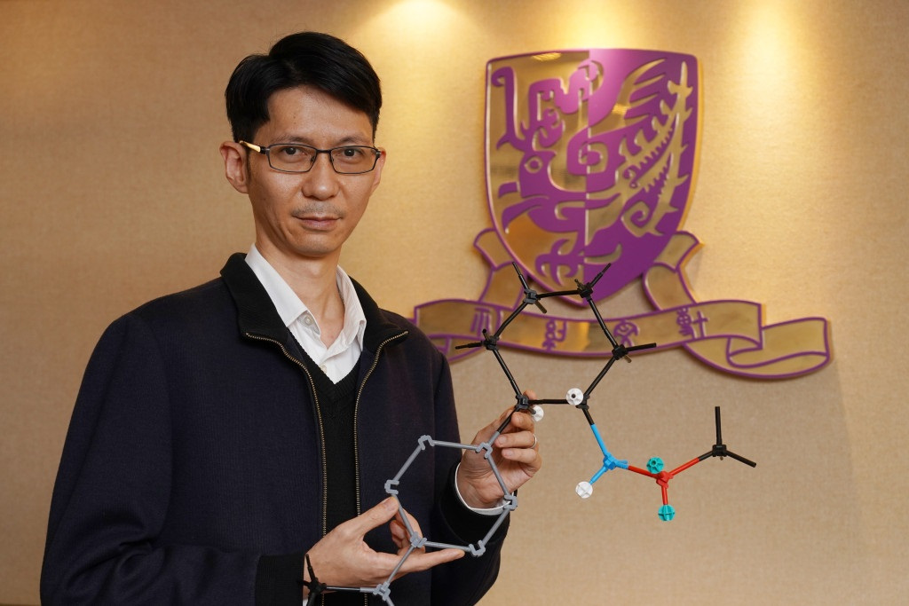 杨英洋教授