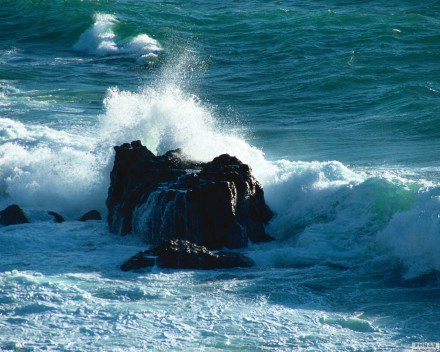 海洋