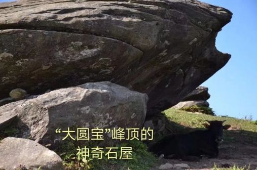 金紫山-图来自美篇用户湘桂第一峰