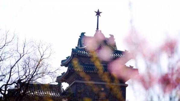 南京农业大学