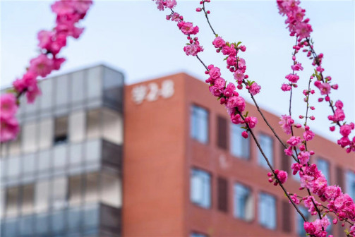南开大学花季