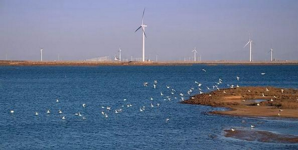 潍河入海口