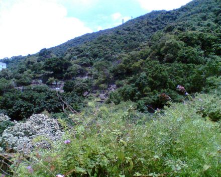 公民村山坡遗址