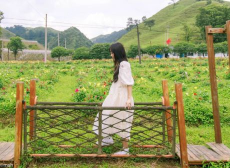 其他游玩设施