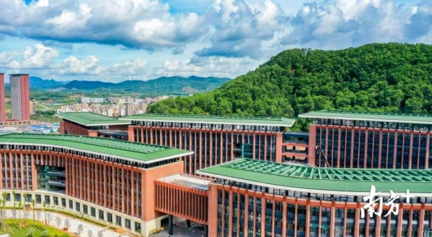 中山大学（深圳校区）