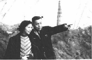 杨飞飞