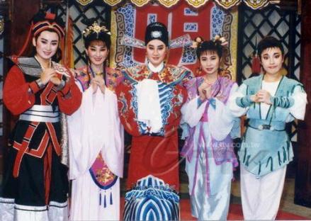 杨丽花