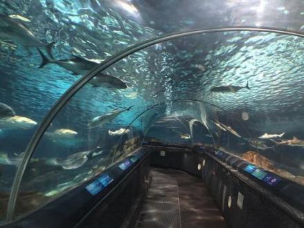 海洋生物馆