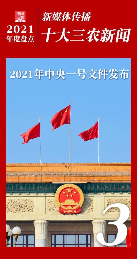 2021年度新媒体传播十大三农新闻