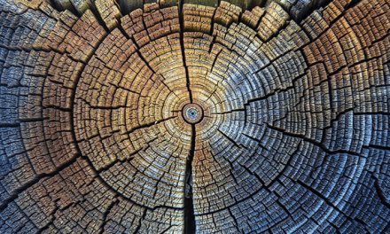 研究人员基于大量数据修订了近5.5万年放射性碳测年法校准曲线