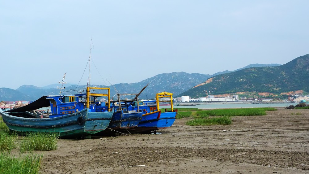 厦门湾西部海门岛上的泥质海岸