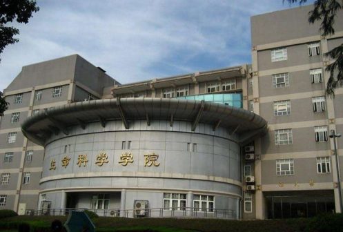 学院楼