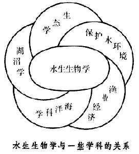 水生生物学