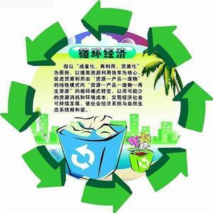 资本循环
