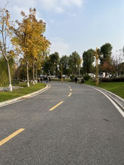 黄花公园