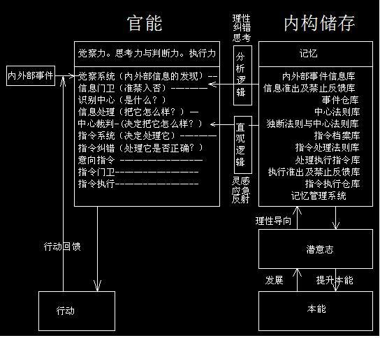 脑头机灵 