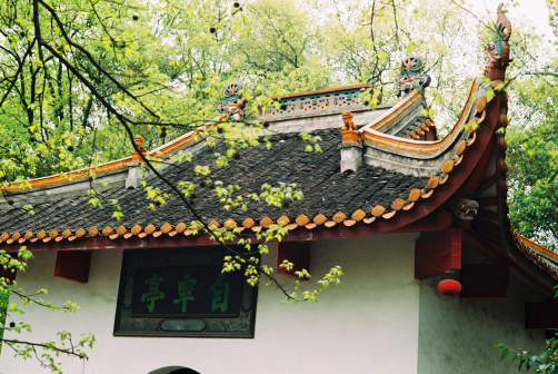 校园风景