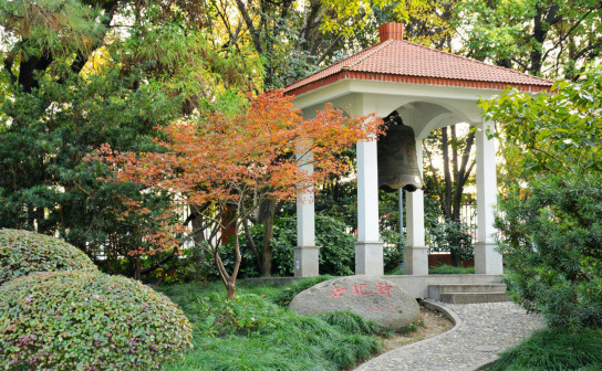 复旦大学