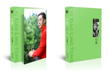 本书早期待用封面
