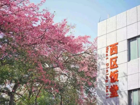 五山校区环境