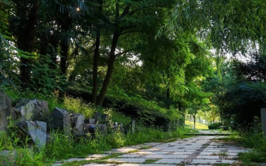 校内风景