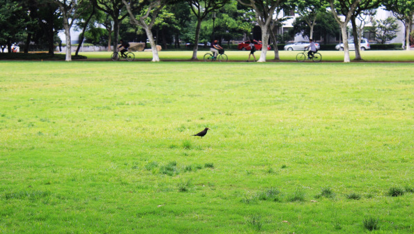 复旦大学