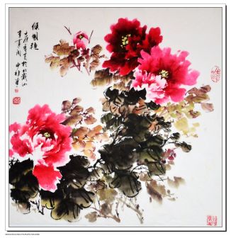 PeonySea 牡丹海  王少非 作品