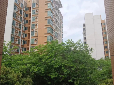 大学城校区校园环境