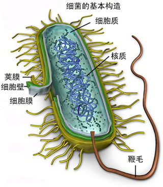生物学