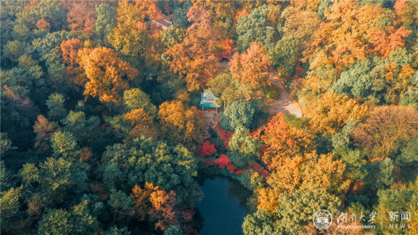 湖南大学风景图
