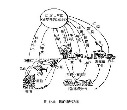 气体型循环