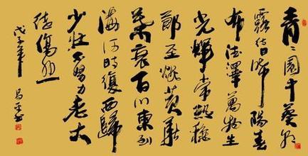 图片资料