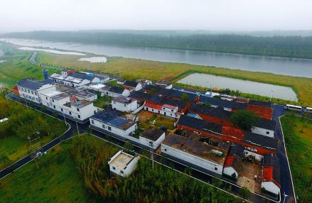 王岗镇美景