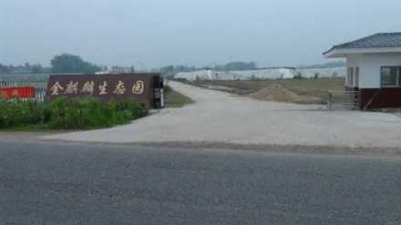 街景