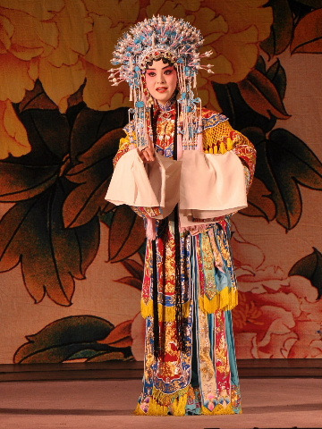 郑菲